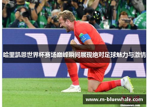 哈里凯恩世界杯赛场巅峰瞬间展现绝对足球魅力与激情
