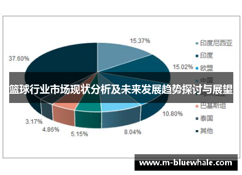 篮球行业市场现状分析及未来发展趋势探讨与展望