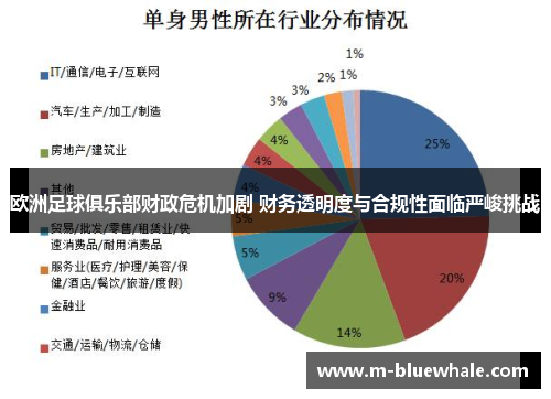 欧洲足球俱乐部财政危机加剧 财务透明度与合规性面临严峻挑战