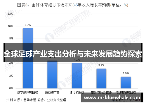 全球足球产业支出分析与未来发展趋势探索