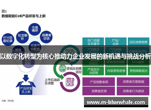 以数字化转型为核心推动力企业发展的新机遇与挑战分析