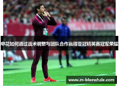 申花如何通过战术调整与团队合作赢得亚冠精英赛冠军荣耀
