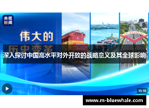 深入探讨中国高水平对外开放的战略意义及其全球影响