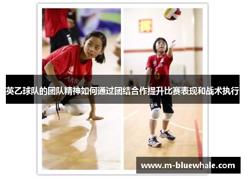 英乙球队的团队精神如何通过团结合作提升比赛表现和战术执行
