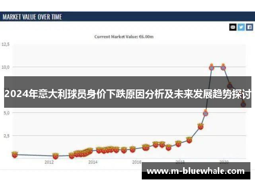 2024年意大利球员身价下跌原因分析及未来发展趋势探讨