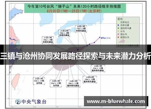三镇与沧州协同发展路径探索与未来潜力分析