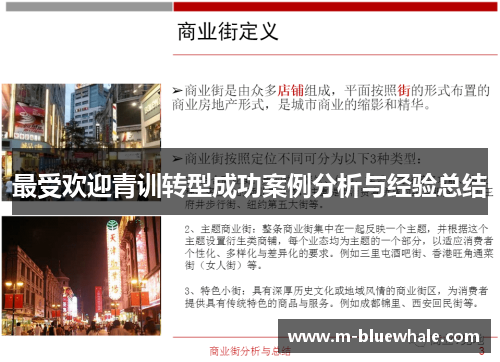 最受欢迎青训转型成功案例分析与经验总结