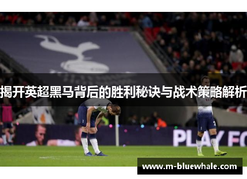 揭开英超黑马背后的胜利秘诀与战术策略解析