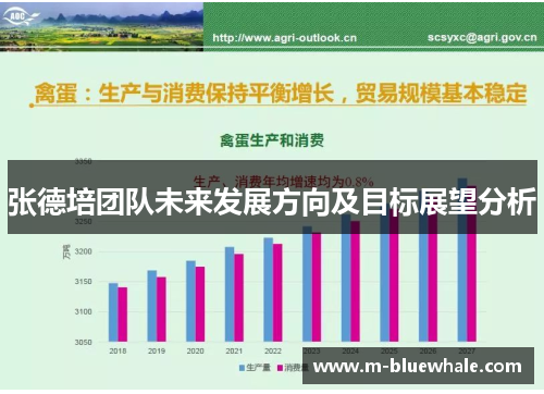张德培团队未来发展方向及目标展望分析