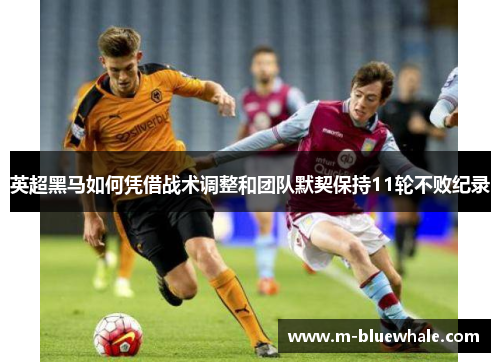 英超黑马如何凭借战术调整和团队默契保持11轮不败纪录