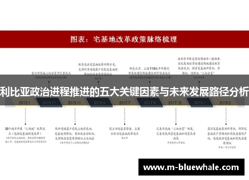 利比亚政治进程推进的五大关键因素与未来发展路径分析