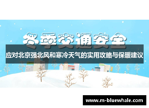 应对北京强北风和寒冷天气的实用攻略与保暖建议