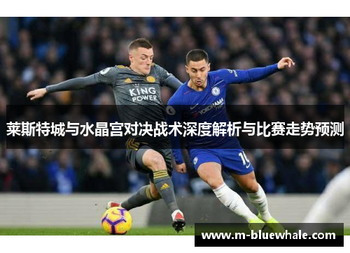 莱斯特城与水晶宫对决战术深度解析与比赛走势预测