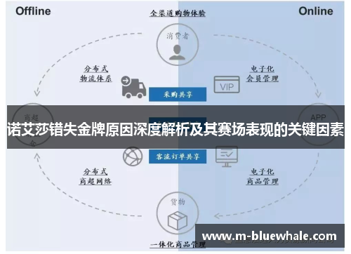 诺艾莎错失金牌原因深度解析及其赛场表现的关键因素
