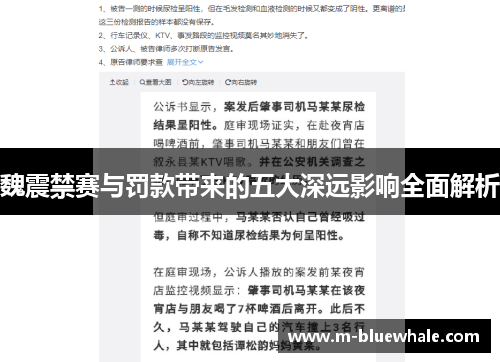 魏震禁赛与罚款带来的五大深远影响全面解析